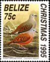 Ruddy Ground Dove (Columbina talpacoti)